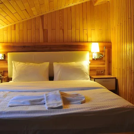 Gelgor Hotel 2*